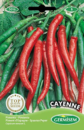 Germisem graines Piment d'Espagne CAYENNE