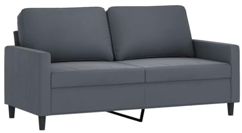 vidaXL Sofá de 2 Plazas, Asiento con Reposabrazos Respaldo, Sillón de Descanso Televisión, Sofá Tapizado para Salón, Terciopelo Gris Oscuro