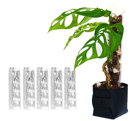 Thiccl, Kunststoff-Moosstäbe für Kletterpflanzen, Version 3, mittel, 5 Stück, vordere Öffnung, stapelbar, Monstera-Pflanzenstütze, Kletterhilfe für Pflanzen, Moosstab zur Selbstgestaltung,