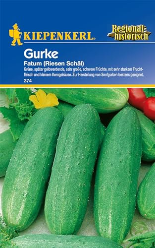 Kiepenkerl Schälgurkensamen Fatum - Ideal für Senfgurken, Große Schwere Gemüsefrüchte, Hochwertige Gurkensamen, Gemüsesamen für den Garten