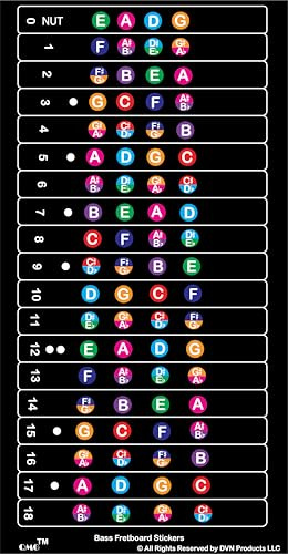 QMG Autocollants pour touche basse et partition, notes de musique à code couleur pour 4 cordes, comprend 18 frettes, peut être enlevé sans laisser de résidus, outil d'apprentissage visuel pour
