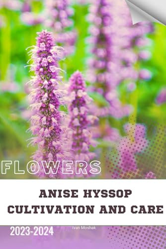 Anise Hyssop Cultivation and Care: Become flowers expert