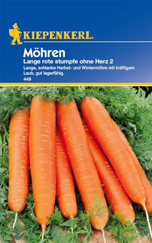 Kiepenkerl Möhrensamen Lange rote stumpfe ohne Herz 2 - Lagerfähige Wintermöhre, Schnelles Wachstum, Gemüsesamen für Garten, Vielseitige Karotten & Pastinakensamen, Hochwertige Samen für Gemüsebeet