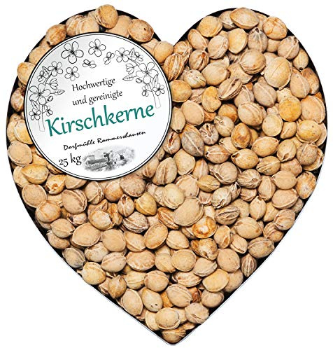 Noccioli di ciliegia Imbottiture per cuscini naturali cervicale, mal schiena Selezione 1-30 kg DML, Peso:25 kg