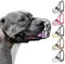 BRONZEDOG Pitbull Hundemaulkorb Metallmaske Amstaff Drahtkorb Pit Bull Verstellbare Lederriemen für große Hunde (Schwarz)
