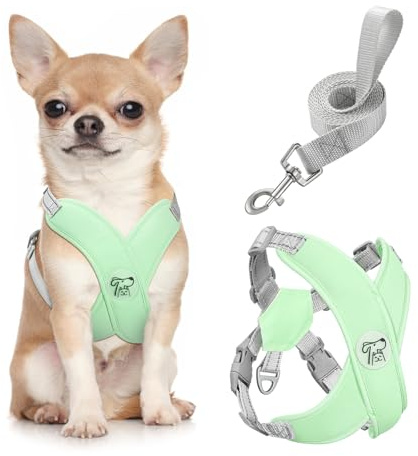 Pawaboo Valpsele och blyset, liten hundsele X-ram inget drag ingen kvävning, hundväst sele justerbar för små medelstora hundar, mjuk andningsbar husdjurssele promenadutflykt, S, mintgrön