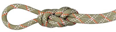 Mammut 9.5 Gym Classic Cuerda | Equipo de Escalada, Robusto y Duradero | 50 m, Color Blanco Boa