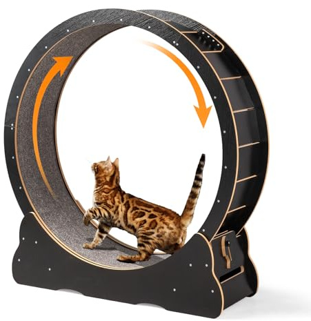 VINGLI Cat Wheel Exerciser for Indoor Cats, 39 Large Cat Exercise Wheel, Silent Kitten Running Wheel with Safety Lock, Black (Large-39.4 inch)
