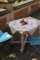 Vervaco Kreuzstich Stickpackungen Tischdecke Stiefmütterchen Stickdecken Vorgezeichnet Basteln Erwachsene Kreativ Set Vorgedruckte Decke Sticken 80 x 80 cm Stickset DIY Sticken Set