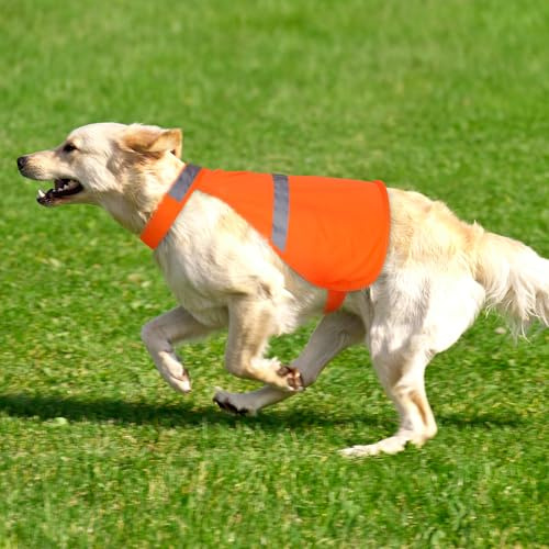 High-Visibility Reflective Dog Safety Vest for Assistance Training & Outdoor Activities - Adjustable Warning Vest for Small Medium Large Dogs