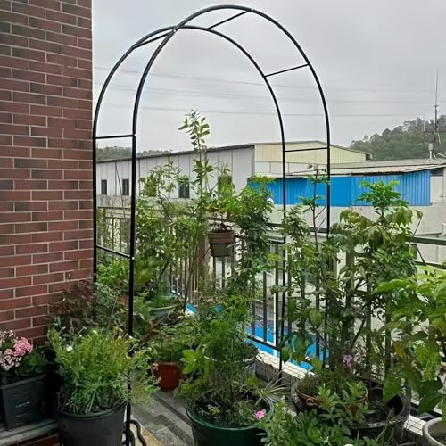 Romántico pabellón de jardín con arco de rosas para plantas trepadoras y verduras (negro, 2,5 x 2,3 m)