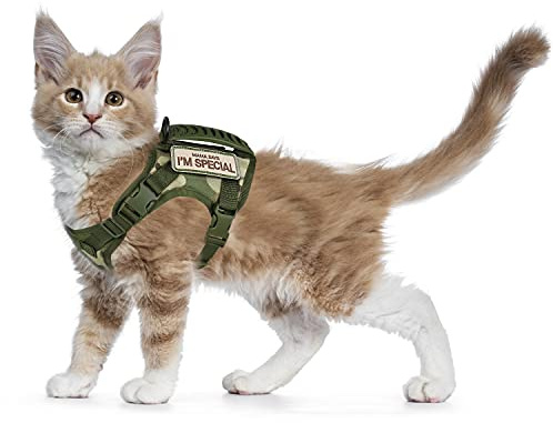 Pettorina tattica per gatti a prova di fuga, in morbida rete, regolabile, per gatti di taglia grande, cani di piccola taglia (L, A-verde)