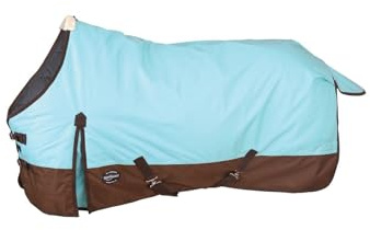 Reinsman Classic Turnout Winter Warm Horse Blanket with 200g Fill| Water-Resistant 600 Denier | Comfortable Fleece-Lined Adjustable Neck | Breathable Nylon Liner | Easy to Clean, Aqua/Brown, 78