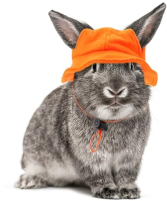 Mipcase Cappello Coniglio Vestiti Da Coniglio Cool per Animali Domestici Arredamento Furetto Cappello per Animali Domestici Da Criceto In Miniatura Alto-Forma Feltro
