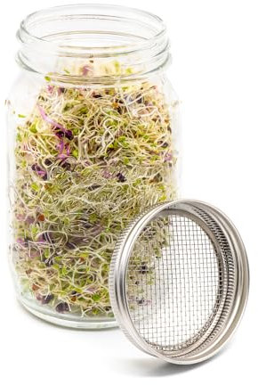 1L Sprouting Jar with Large Mesh Stainless Steel Lid | Lead-Free Glass, BPA-Free, Ideal for Beans & Pulses