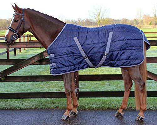 Coperta da stalla per cavalli QHP Start 150 g