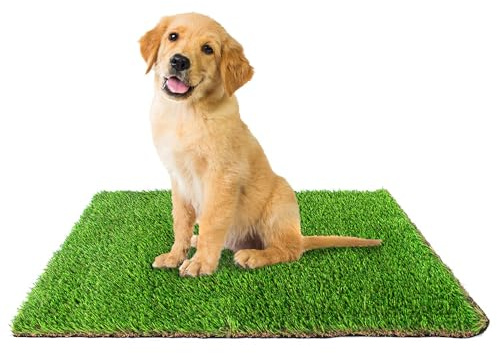 Downtown Pet Supply Replacement Dog Potty Grass, 16 x 20 - Washable Synthetic Grass Pad for Dogs, Suitable as Indoor or Outdoor Grass Pee Turf - Dog Housebreaking Supplies