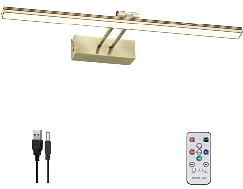 FUNCHDAY Picture Light,Battery Art Lights for Wall,Wireless Remote Painting Light with Timer and Dimmable,20”Metal Display Lighting for Artwork,Portrait,Gallery-Antique Brass