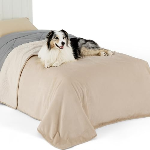 Lesure Couverture imperméable pour grands chiens, lavable, pour l'extérieur, protection de canapé, en polaire sherpa, moelleuse, pour canapé, 152 x 203 cm, crème