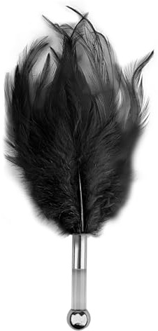 SM Feather Teaser Stick Flirtatious Anal Plug SM Adult Feather Tickler Multifunctional Training Prop Black