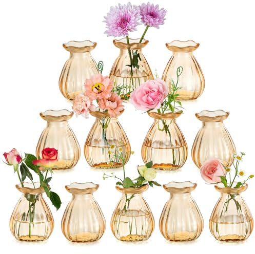 Hewory Petits vases pour décoration de table de mariage : lot de 12 petits vases en verre pour décoration de mariage - Vase décoratif mignon champagne mini vase en verre pour décoration Kawaii, salon