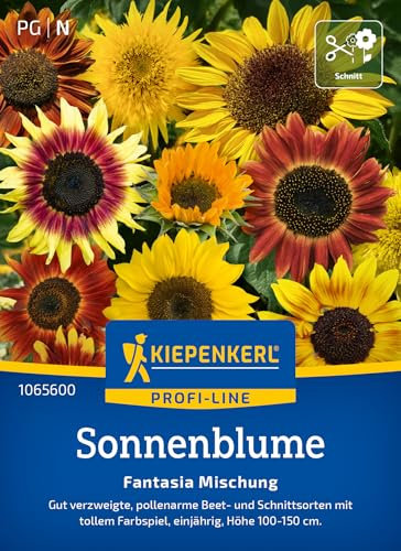 Kiepenkerl Profi-Line Sonnenblumensamen Fantasia Mischung, F1 1065600 - Blumensamen für Beet- und Schnittsorten mit Inhalt für 20 Pflanzen - Saatgut