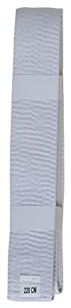 Lisaro kampsportbälte Karate Judo Taekwondo Ju Jutsu BJJ bälte storlek 160–320 cm (vit, 180)