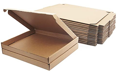 Klein Versandkartons, 230x178x20mm Großbriefkartons für Postversand, Versandtaschen Warensendung, Braune Verpackungskartons für Geschäft, Aufbewahrung oder Geschenkbox, aus Wellpappe(10 Stück)