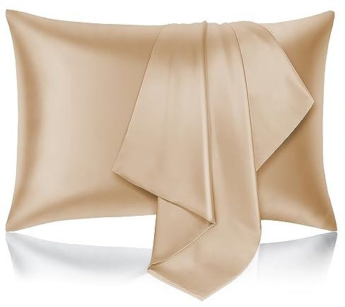 Hafaa Satin Champagne Pillow Cases 2 Pack Soft as Silk Pillowcase For Hair and Skin With Envelope Closure Design Standard Size (50x75 cm) Pillow Cases, Gifts for Women