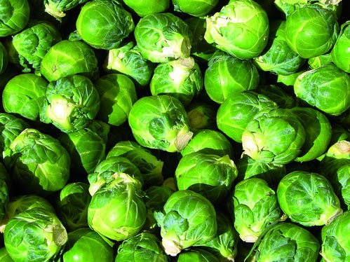 CAVOLO DI BRUXELLES NR.300 SEMI