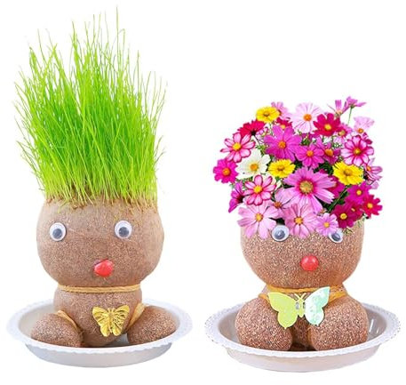 CWPFVQA 2 Piezas De Muñecas para Cultivo De Plantas, 2 Piezas De Bandejas, Muñecas con Cabeza De Hierba con Cabeza De Flor, Mini Muñecas con Cabeza De Hierba Bonsái, Regalos De Crecimiento para Niños