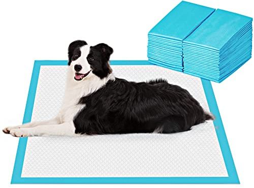 BESTLE Extra Large Pet Training and Puppy Pads Pee Pads for Dogs 28x34 -40 Count Super Absorbent & Leak-Proof