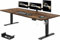 JUMMICO Höhenverstellbarer Schreibtisch 200 x 80 cm mit Kabelwanne, Höhenverstellbar Elektrisch Stehpult mit USB-Buchse, Computertisch, Ergonomischer Steh-Sitz Tisch, Bürotisch, Vintage-Braun