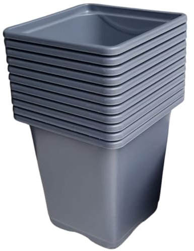 Macetas cuadradas de plástico negras de 9 cm (paquete de 50), ideales para plantas, plantas perennes y hierbas (gris, paquete de 10)