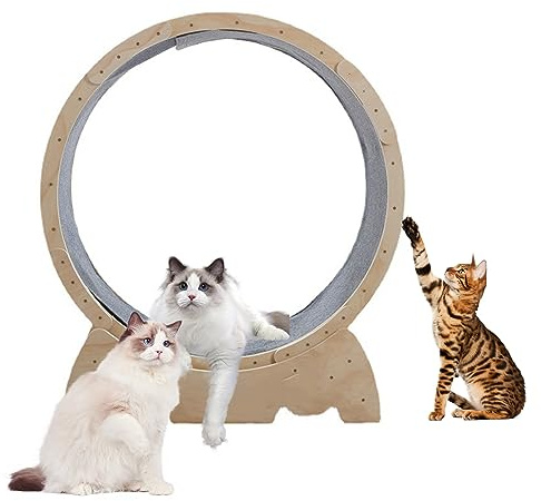 Reheyre Rueda de ejercicio para gatos, rueda de correr para gatos con mecanismo de bloqueo, caminadora de madera para mascotas, rueda de fitness para gatos, muebles lindos para gatos, cinta de correr