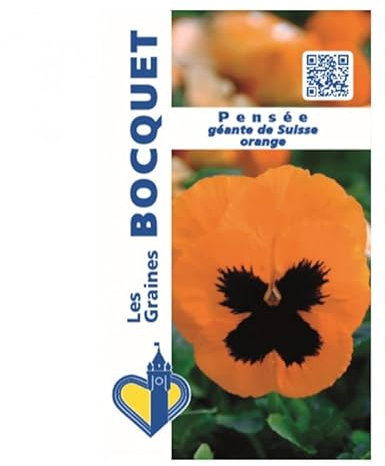 Sachet de graines de Pensée géante de Suisse orange - 0,3 g - fleur bisannuelle - LES GRAINES BOCQUET