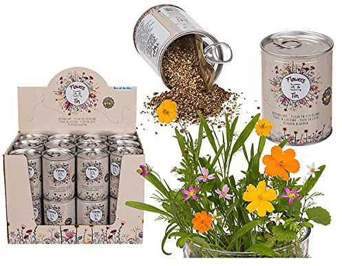 ootb burk blomma äng äng blomfrön i en dekorativ presentförpackning