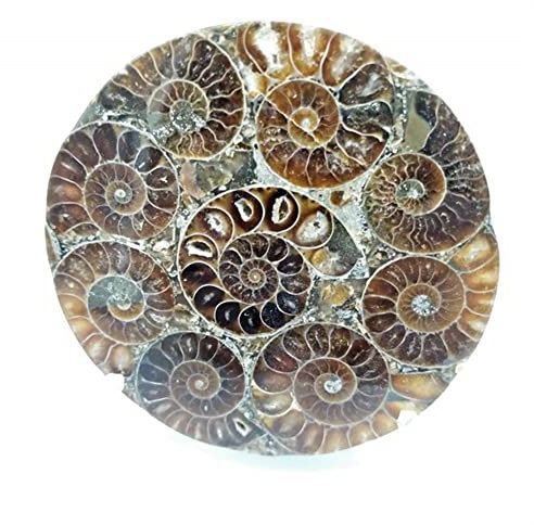 Collections de la maison Plaque de tranche de pierre gemme de miroir de cristal de Quartz de fossiles naturels 110mm-120mm appropriée à la décoration de meubles ( Color : Light Yellow , Size : One Siz