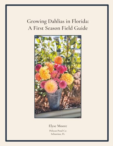 Growing Dahlias in Florida: A First Season Field Guide