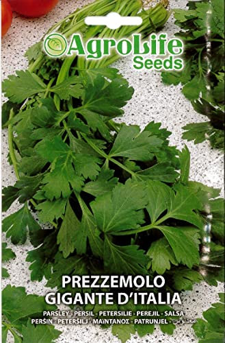 SEMI SEMENTI DI PREZZEMOLO GIGANTE D'ITALIA IN BUSTINA
