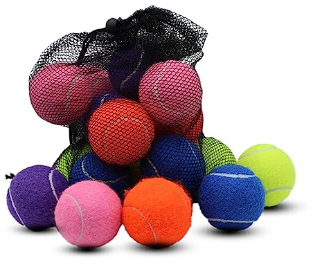 Swingers 20 Pack Tennis Balls,Training Exercise Balls for Pet Dog, High Elasticity Practice Tennis Balls for Beginner, with Mesh Carry Bag Easy to Transport (Multicolor)