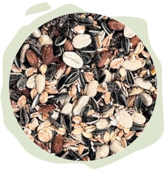 Warnick's Tierfutterservice Vogelfutter - Vogelmix 3 KG im Eimer - ganzjähriges Futter für Vögel, natürliche, ambrosiafreie Zutaten