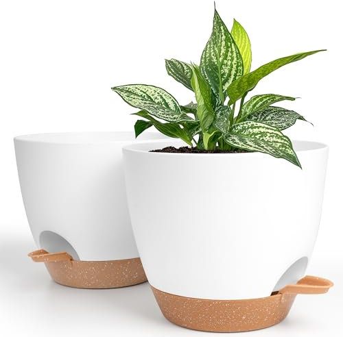 Winter Shore 20 cm Selbstbewässernder Blumentopf [2er-Pack] - Weiß-Brauner Kunststoff Mit Wasserspeicher, Abflusslöchern, Untersetzer - Modern für Zimmer- & Außenpflanzen
