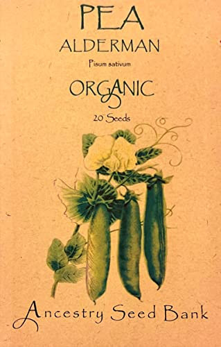 Organic Pea ❁ Alderman ❁ 20 Seeds Heirloom - Non GMO