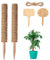 FAINCA 2 Stück Moosstange für Pflanzen Monstera, 40 cm ausziehbare Pflanzstäbe, Pflanzstäbe für Topfpflanzen, Kokosfaser-Stange, Pflanzen-Rankgitter für Sphagnum
