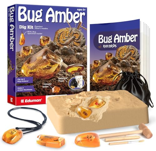 EDUMAN Kit de creusement d'ambre, kit d'excavation de spécimens en résine d'insectes artificiels, kit de fossile pour 6 insectes, jouets éducatifs géographiques STEM, kits scientifiques pour enfants