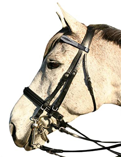 Saddles World Fancy Leather White Two Center Line Pearl with Clear Crystals Browband (Cob, Brown)