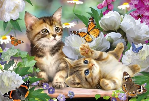 Schmidt Spiele 56468 Lekfulla kattungar, 150 bitars barnpussel