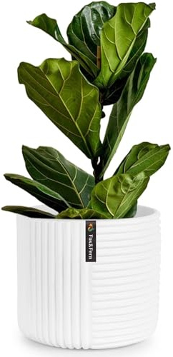 Fox&Fern vaso da fiori M con struttura a linee - vaso grande da 24 cm con drenaggio dell'acqua - adatto per supporto da fiori Fox&Fern M (25 cm di diametro) - colore: bianco