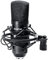 SUUNTOK Micrófono de condensador XLR, kit de micrófono cardioide de grabación profesional de diafragma grande con soporte de choque, para estudio, transmisión en vivo, podcas (negro)